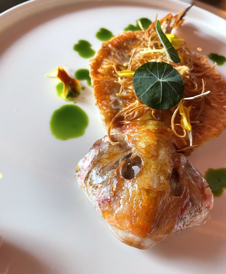 Triglia: pesto di pomodori, olive taggiasche, insalata di erbe
