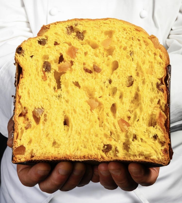 Marasco's panettone 
