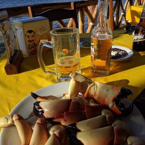 
Crab claws overlooking the sea