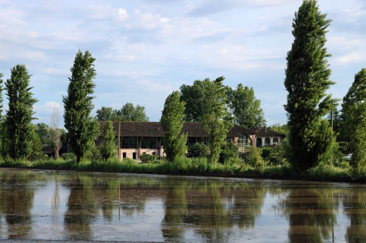 Oltre le risaie del Parco del Ticino, vista su Ca