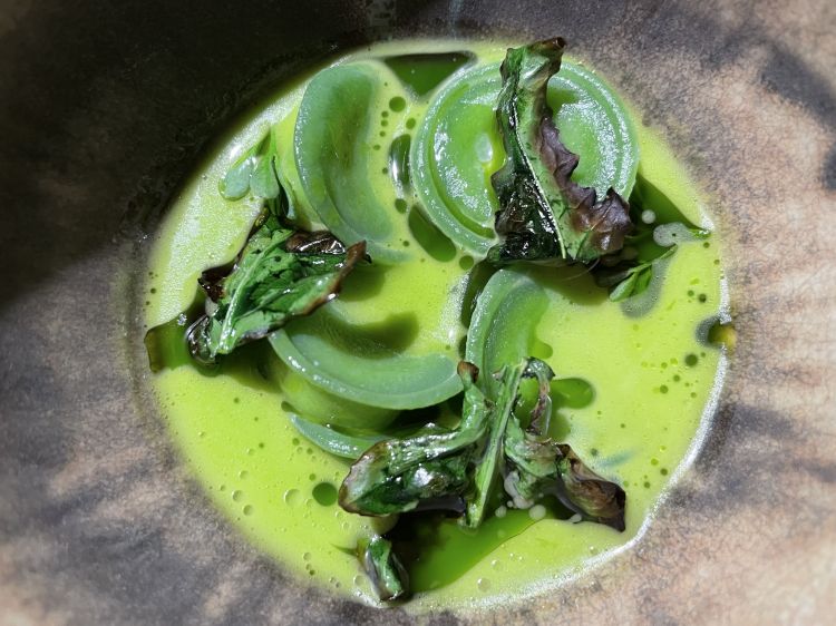 Bottoni ripieni di formaggio vaccino stagionato, acqua di levistico, olio di ruta e fiolaro