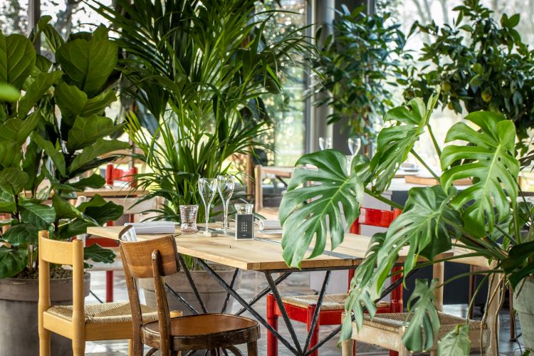 La sala esterna nel verde