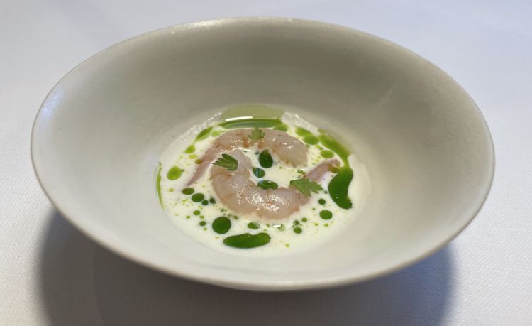 Gamberi bianchi di Tarragona, crema di rafano, olio di cerfoglio: un piatto molto riuscito, in cui delicatezza e profumi pungenti trovano una non facile armonia