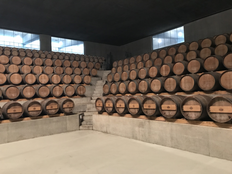 La barricaia può contenere circa 1.800 barriques
