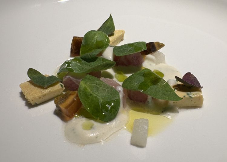 Ricciola, uovo centenario e daikon al latte di cocco: &laquo;La ricciola &egrave; il mio pesce preferito da crudo, qui la propongo in una versione completamente vietnamita: un olio al kaffir, una salsa di latte di cocco, lime e habanero, e una misticanza con l'uovo centenario&raquo;
