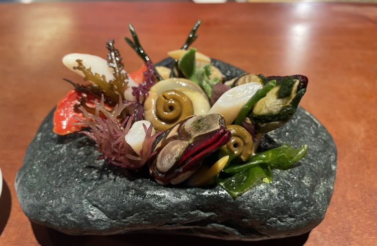Sunomono di alghe fresche e molluschi