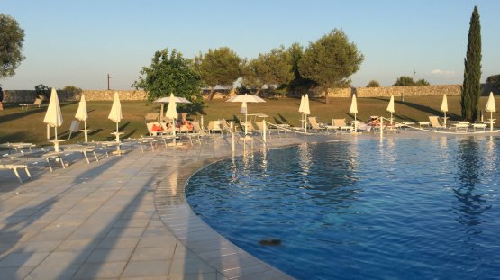 The main swimming pool at Acaya, surrounded by stonewalls and centennial olive trees
