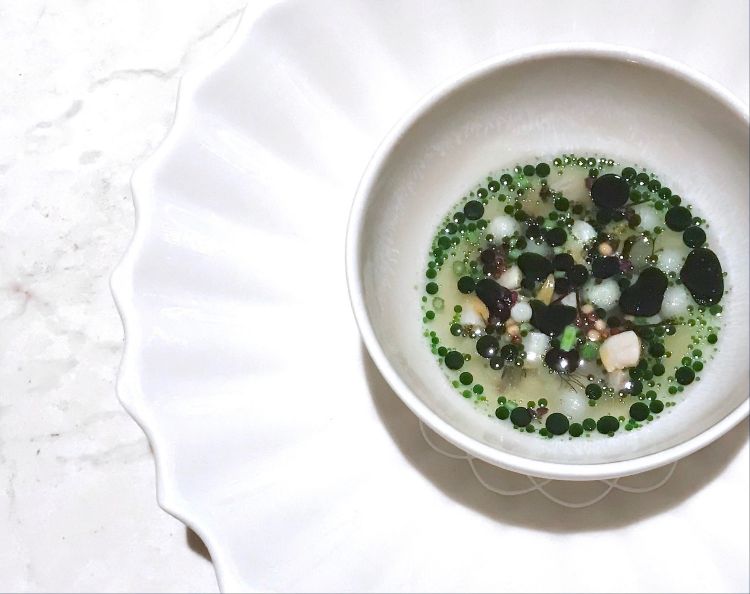 Oysters and clams, cold cucumber juice, lightly smoked snail eggs, seaweeds, and parsley 
