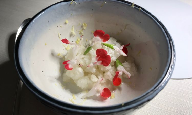 Granita di mandorle, scorza di limone, fiori di salvia
