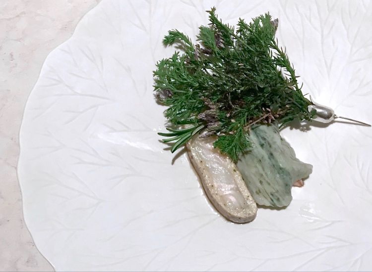 Rombo e scampi con pino, dragoncello ed erbe aromatiche