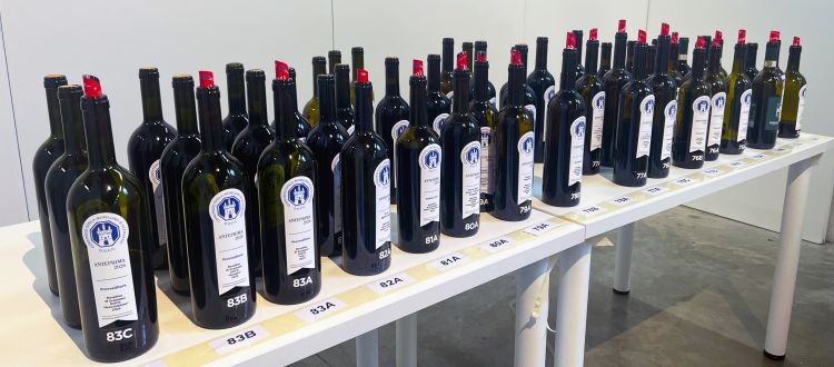 Sono stati una ventina i Morellino di Scansano presentati
