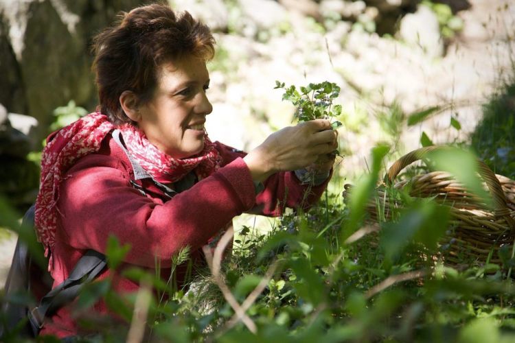Mariangela Susigan mentre raccoglie erbe spontanee
