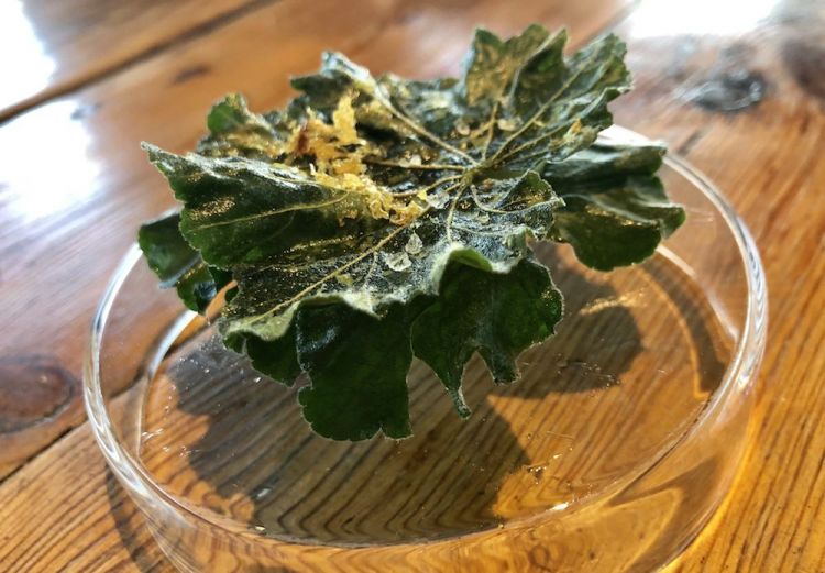 Crispy leaf of nasturtium 
