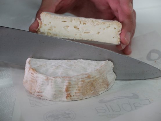 The first buffalo milk soft cheese produced at Il Casolare

