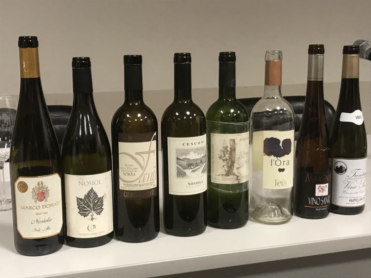 I vini presentati durante la degustazione