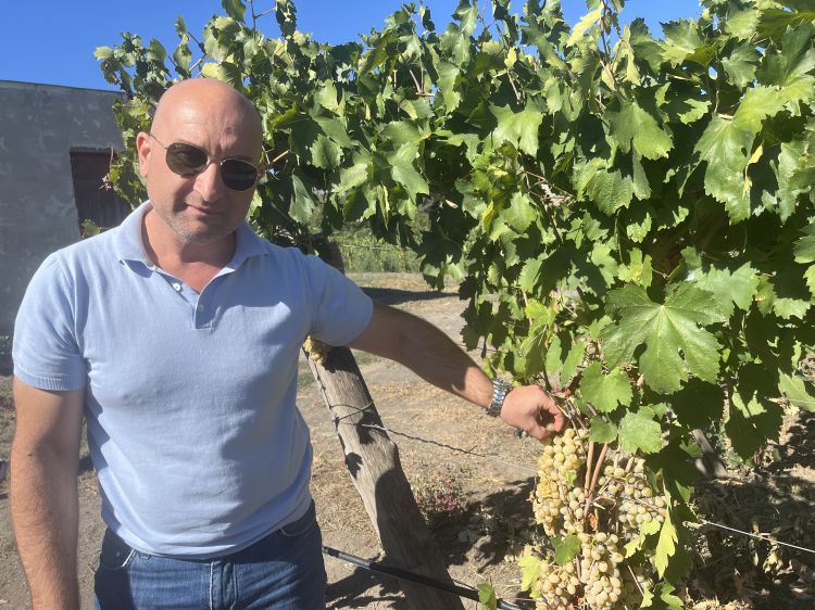 Il presidente del Consorzio Tutela Viini Vesuvio, Ciro Giordano
