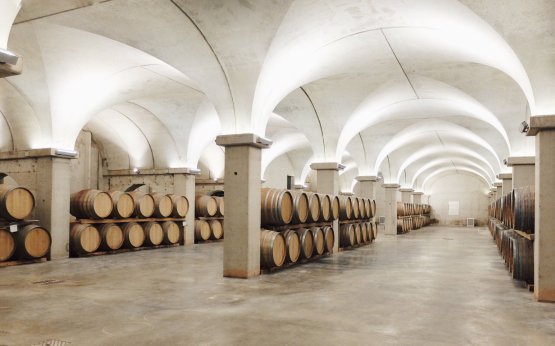 La cantina dove, tra tonneau e barrique, riposa il Nero d'Avola per il Saia di Feudo Maccari