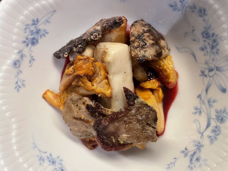 Funghi misti, creste di gallo, fondo vegetale