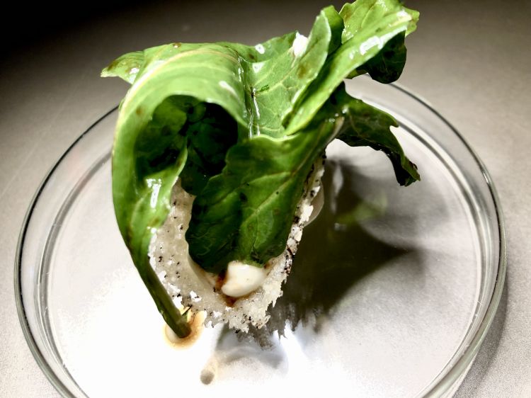 L'entrée dello chef Cristian Torsiello: una cialda al Parmigiano Reggiano con il suo cremoso, rucola selvatica e aceto balsamico di Modena