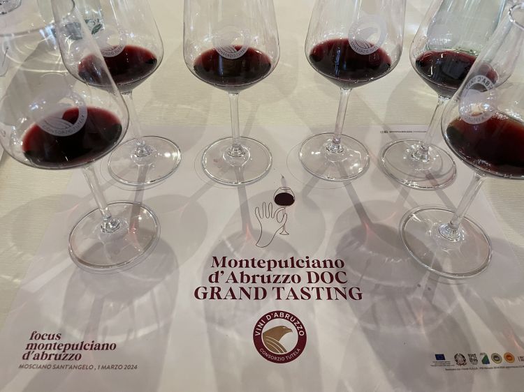 Anteprima Montepulciano d'Abruzzo DOC