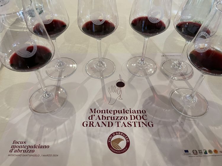 Anteprima Montepulciano d'Abruzzo DOC
