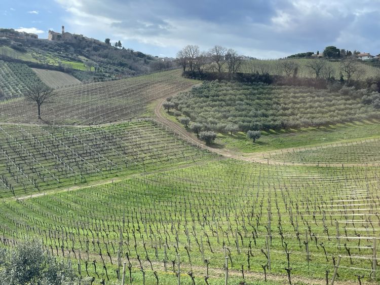 L'Abruzzo, una terra da scoprire, generosa, è