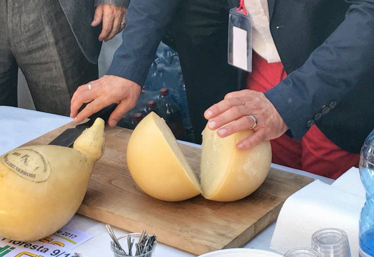 Con un simbolico "taglio della Provola", da parte del presidente del Consorzio, Piero Valenti, è stato inagurato il primo Nebrodi Cheese Festival 
