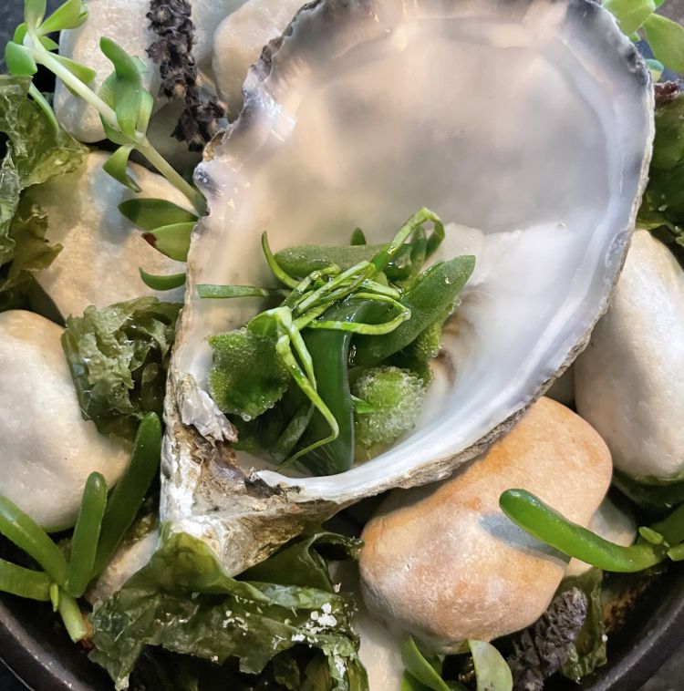 Ostrica al Pisco Sour
