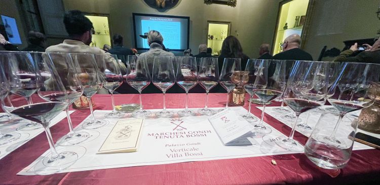 I vini assaggiati in degustazione
