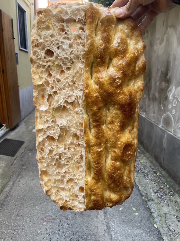 La pala 
