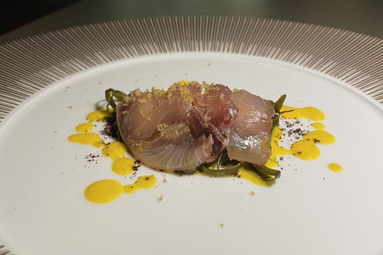 LA RICCIOLA - Sashimi, paté e bottarga di ricciola, mandarino, caffè, insalata di alghe
«E' un assoluto di ricciola, una scelta che deriva anche da un approccio no waste, che vogliamo applicare sempre di più, soprattutto quando parliamo di proteine animali. Cerchiamo quindi di utilizzare tutto dell'animale, carne o pesce che sia. Oltre al sashimi, abbiamo recuperato i fegati della ricciola per ottenere un patè di fegato alla veneziana, e inoltre abbiamo fatto anche una bottarga. Abbiamo servito tutto su una insalata a temperatura ambiente di tre alghe diverse e una salsa al mandarino amaro. Siccome Trieste è la città del caffè, abbiamo usato della polvere di caffè alla base del piatto, e abbiamo marinato la bottarga in zucchero, sale e caffè»
