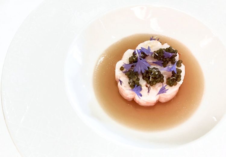 Il piatto di Alain Ducasse: Scampi freddi, fine gelatina di pesci di scoglio, caviale
