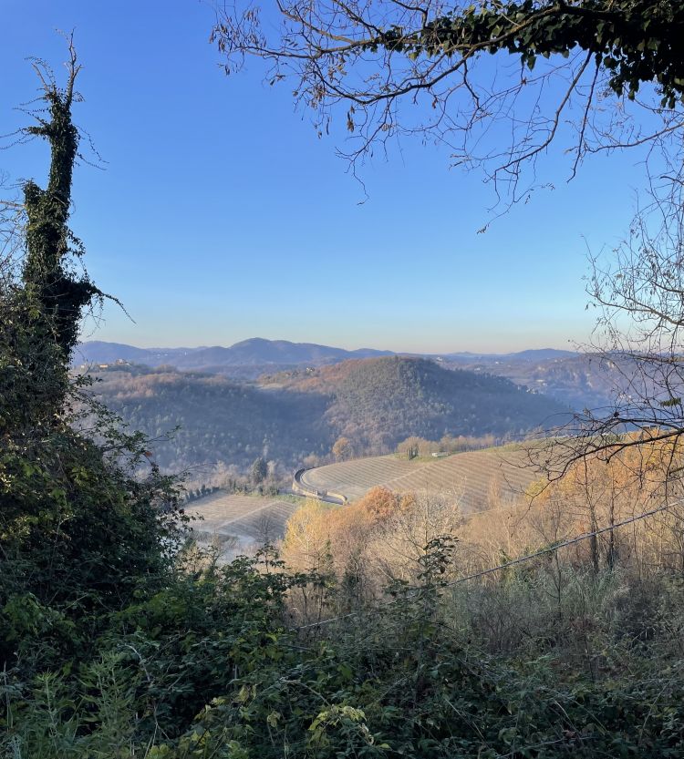 Passeggiando verso Cremolino...
