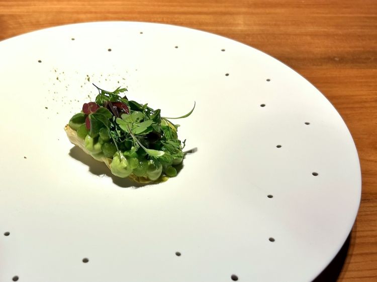 Tartelletta croccante vegetale, cuore di lattuga primna in osmosi con acqua, aceto, zucchero, cardamomo e camomilla e poi grigliato, crema di piselli, insalato di prezzemolo fritto ed erbe aromatiche
