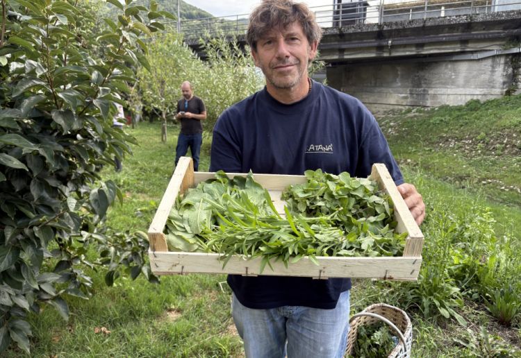 I risultati del foraging di Cesare Battisti, del Ratanà di Milano
