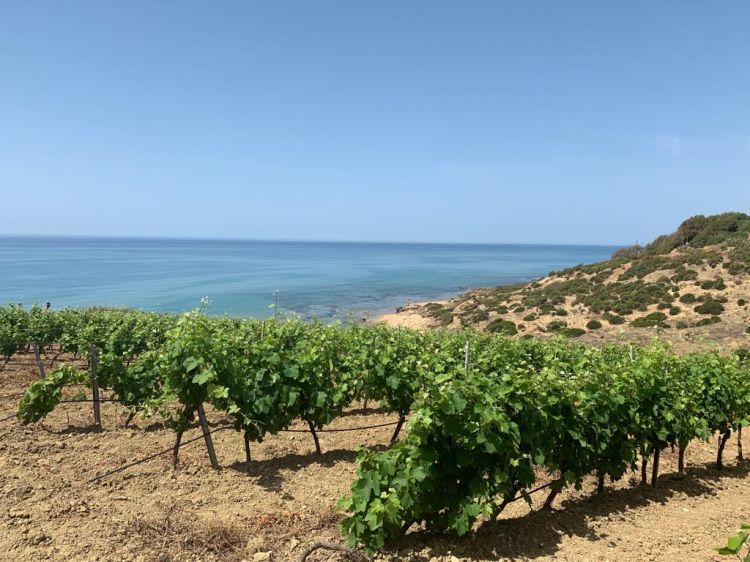 Un'altra bella immagine del paesaggio