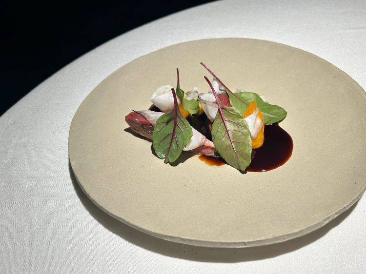 Piccione, anguilla: piccione cotto à l’ancienne, lardo di anguilla, albicocche cotte a bassa temperatura, salsa a base di anguilla affumicata e sugo di arrosto di piccione