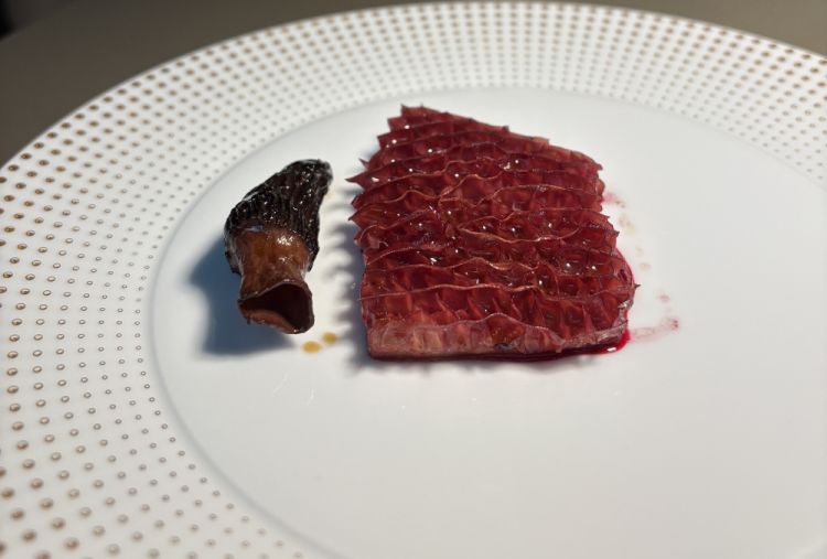 Trippa, Spugnole e Melograno
Una trippa lontana dalla sua cottura tradizionale, servita croccante, senza soffritto né legumi. Le spugnole portano sapori di terra, mentre il melograno aggiunge acidità e dolcezza dirompenti, insieme alla barbabietola
