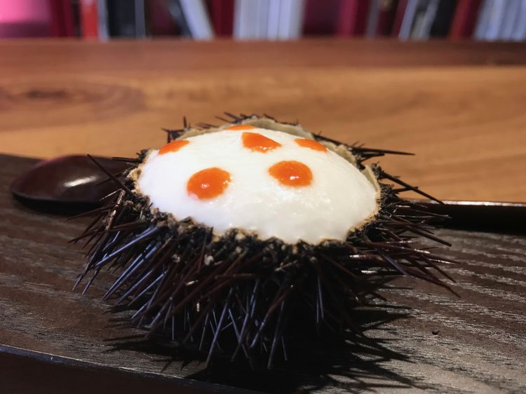 Riccio, spuma di mandorla, carota e caffè