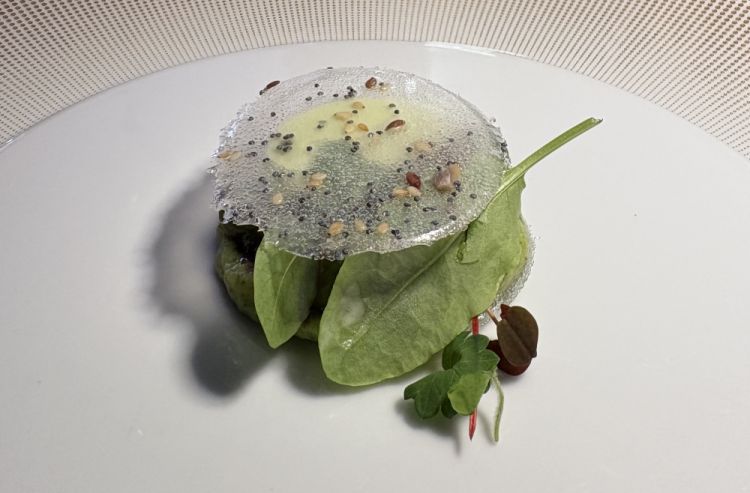 TRASPARENZE - Avocado, shiso verde e kefir
