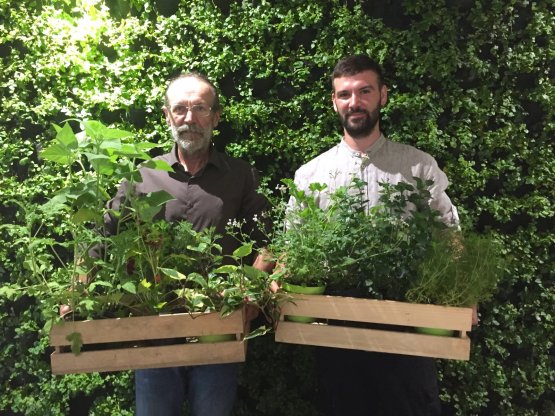 Diego Parolo con il figlio Enrico: con la loro Geel Floricultura di Carceri (Padova) riforniscono Baldessari di straordinarie erbe aromatiche bio
