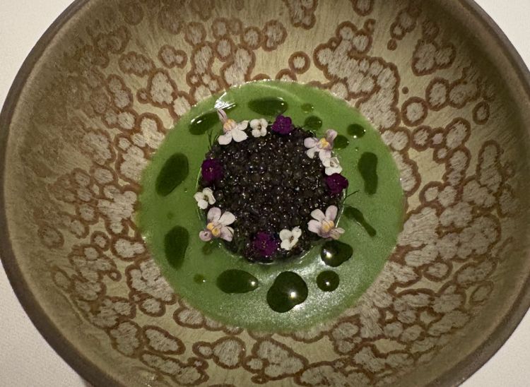Anguilla, zuppa di erbe selvatiche, mela e caviale