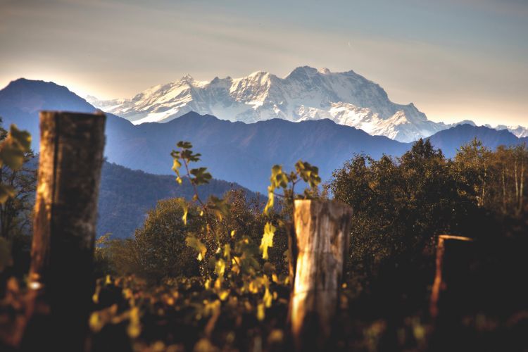 Il Monte Rosa e in basso i vigneti della cantina T