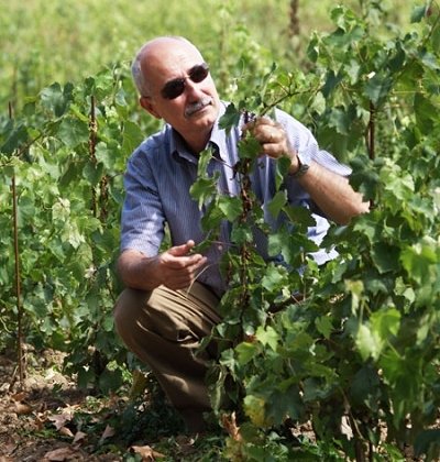 Francesco Gettuli, azienda agricola Citari