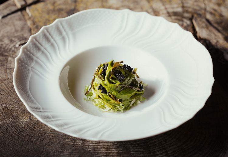 Insalata di pasta: viene preparato uno spaghetto alla chitarra verde con alloro e aglio orsino, mantecato con una crema di scarola, aglio orsino e erbe amare di montagna passate alla brace. Sopra c’è un olio di fico, foglio di finocchio marino sott'aceto e foglie di cappero sott'olio. Alla base del piatto c’è una chiffonade di scarola e acetosa. Nel piatto dominano acido e amaro