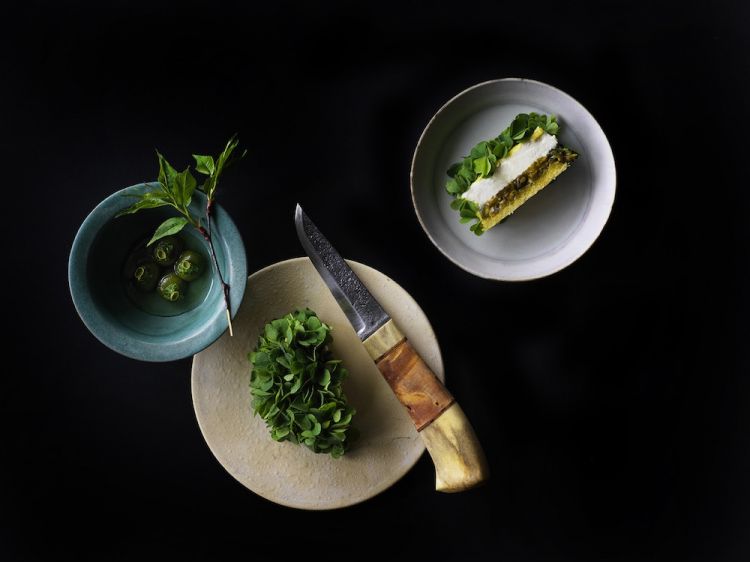 Torta al latte di soia, acetosella e kiwi selvatici 
