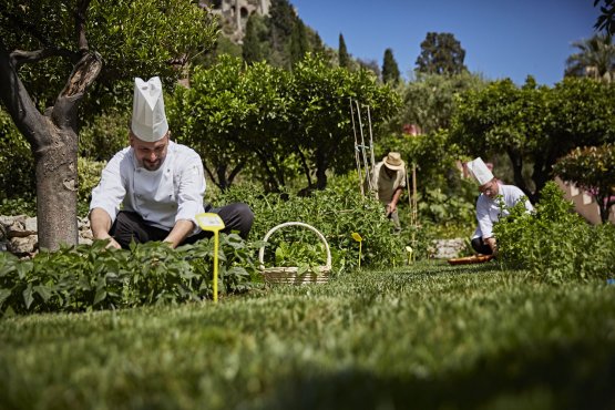 Lo chef Roberto Toro, a sinistra, al lavoro nell'orto-giardino del Timeo
