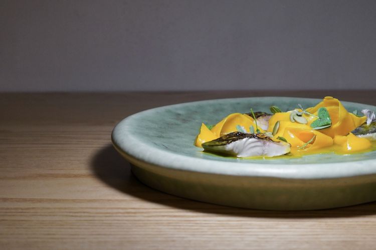 Sgombro: sgombro al cannello, julienne di zucca, la sua crema, i suoi semi, salsa di zucca e agrumi