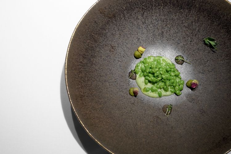 Lágrima peas steamed with Xare-lo. On the base, an emulsion made with the pods, a pesto of pistachios with toasted pistachios, wasabi from Montseny with its oil, and yuzu
