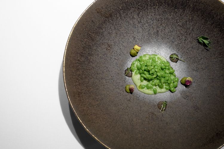 Lágrima peas steamed with Xare-lo. On the base, an emulsion made with the pods, a pesto of pistachios with toasted pistachios, wasabi from Montseny with its oil, and yuzu
